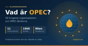 Grafisk illustration med rubriken ”Vad är OPEC?” och en jordglob med en oljedroppe omgiven av elva markerade punkter som symboliserar OPEC-länderna, samt faktarutor om 11 medlemsländer, grundat 1960 och huvudkontor i Wien.